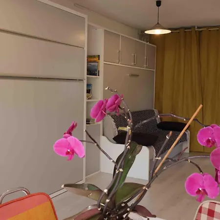 公寓 Le Viscos A *